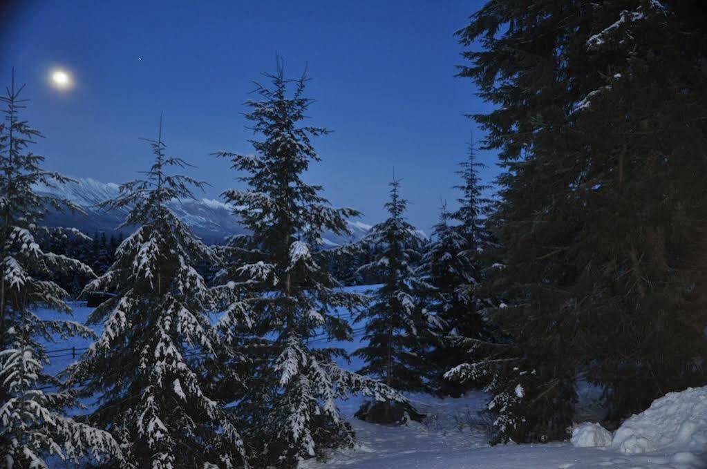 Mount 7 Lodges غولدن المظهر الخارجي الصورة